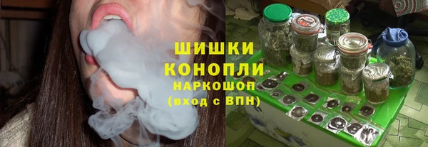прущие грибы Наволоки