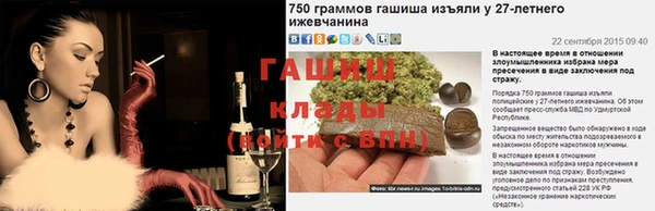 прущие грибы Наволоки