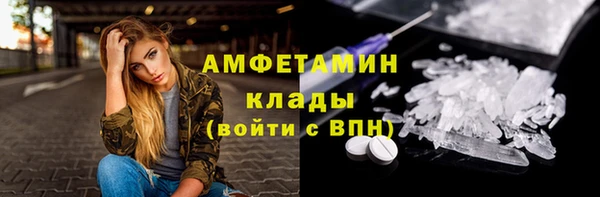 прущие грибы Наволоки
