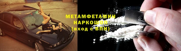 прущие грибы Наволоки