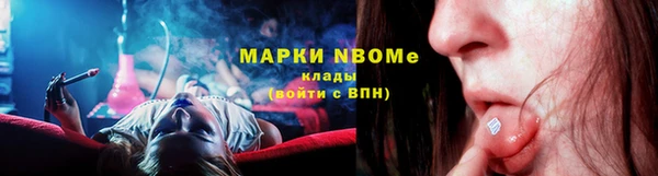 прущие грибы Наволоки