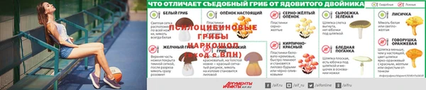 прущие грибы Наволоки