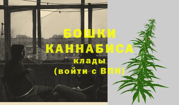 прущие грибы Наволоки