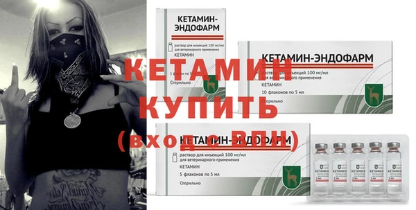 прущие грибы Наволоки